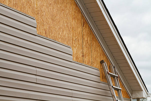 Best Fascia and Soffit Installation  in Aspermont, TX